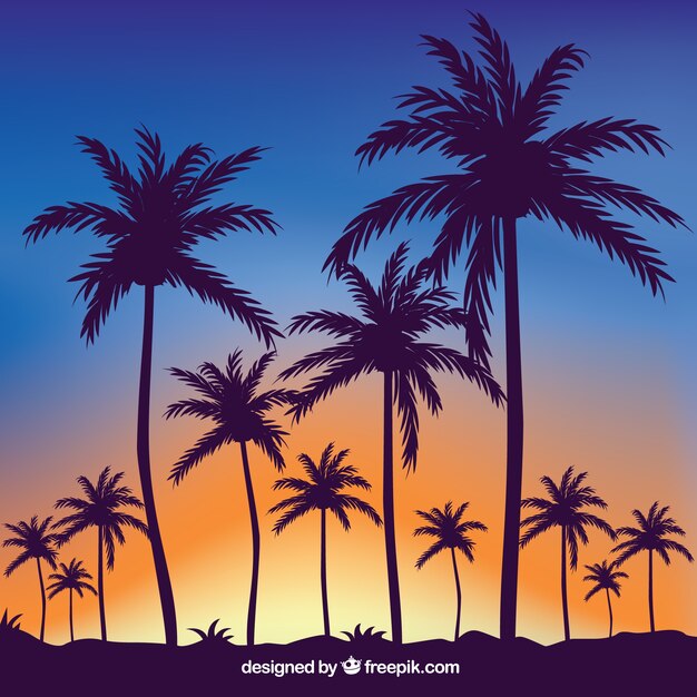 Fondo de verano tropical con siluetas de palmeras