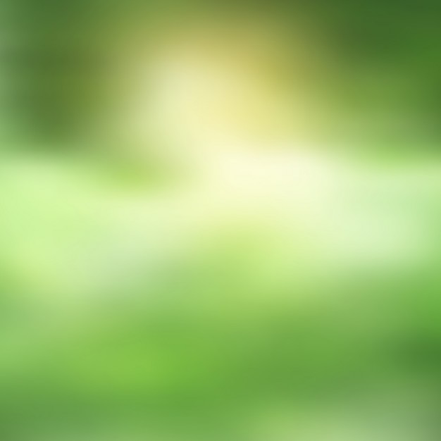 Fondo verde borroso