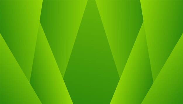 fondo verde estandarte de colores