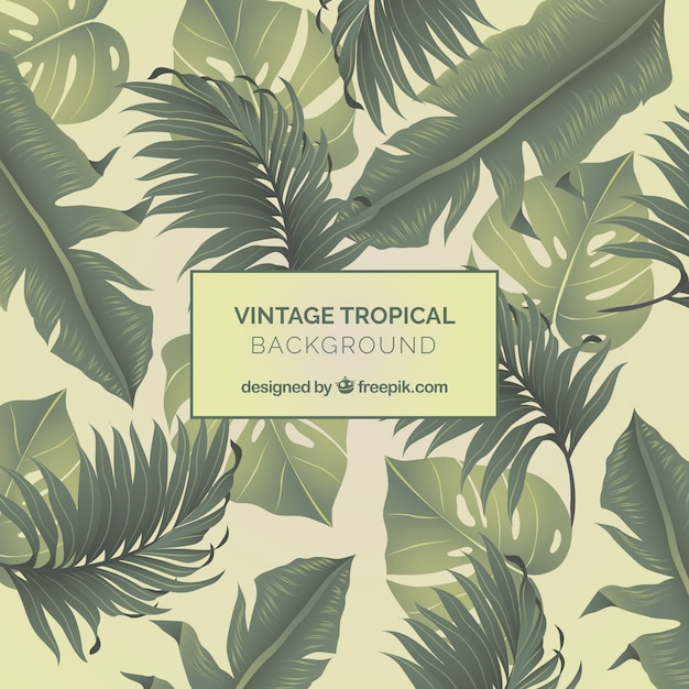 Fondo vintage de hojas tropicales