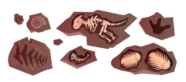 Fósil arqueológico de dibujos animados de esqueletos de dinosaurios animales marinos y plantas