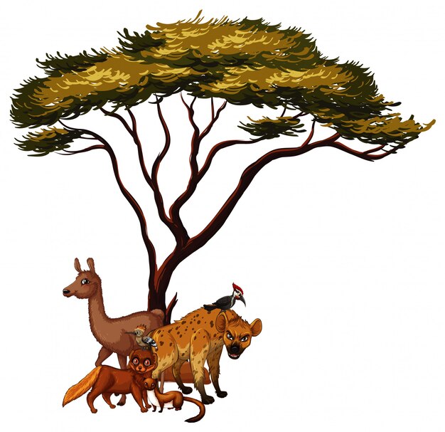 foto de animales debajo del árbol