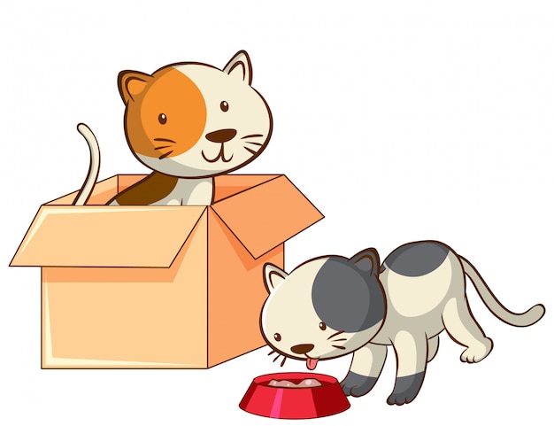 Vector gratuito foto de dos gatos en la caja