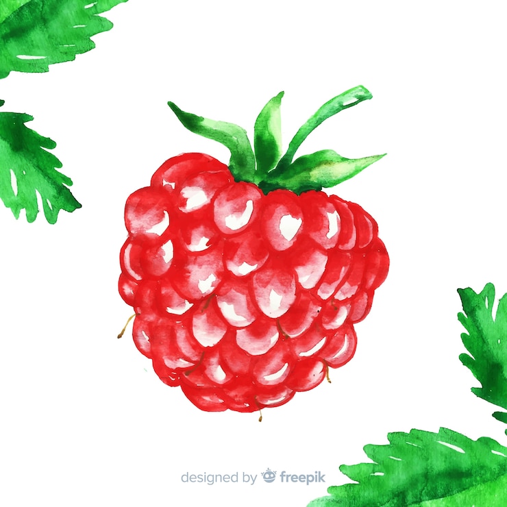 Vector gratuito las frambuesas de acuarela