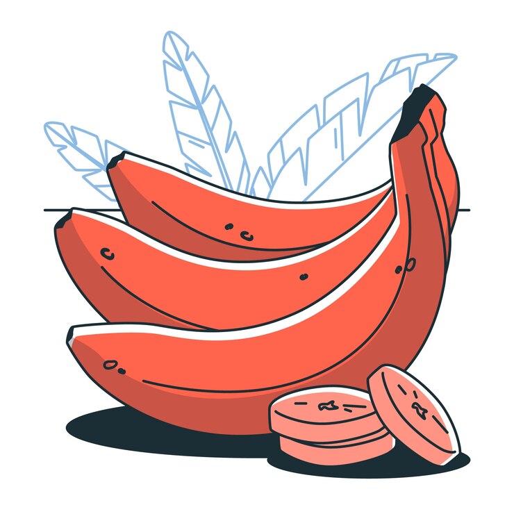 Vector gratuito fresh red bananas  concept illustration