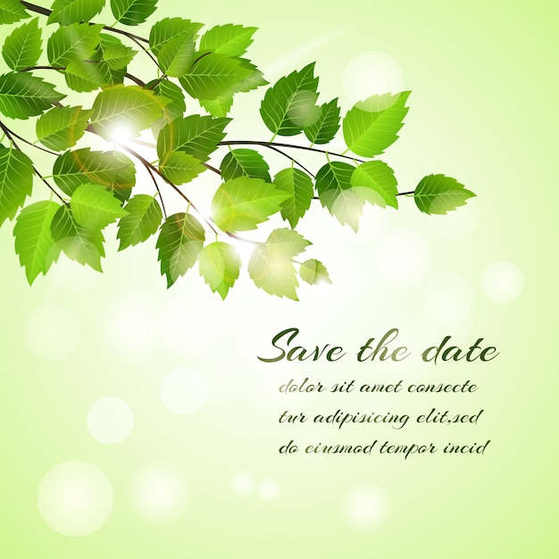 Fresh spring Save The Date diseño de tarjeta de vector con una rama de hojas verdes jóvenes con un bokeh de texto y copyspace de luz solar brillante