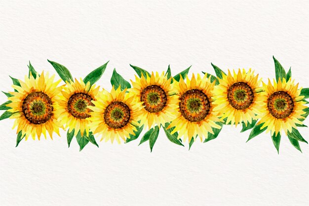 Frontera de girasol acuarela