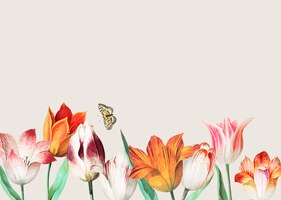 Vector gratuito frontera de tulipanes vintage decoración y espacio de copia