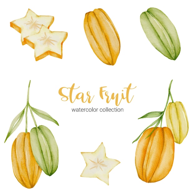 Fruta estrella, fruta madura amarilla en colección acuarela con verde y hoja con rama