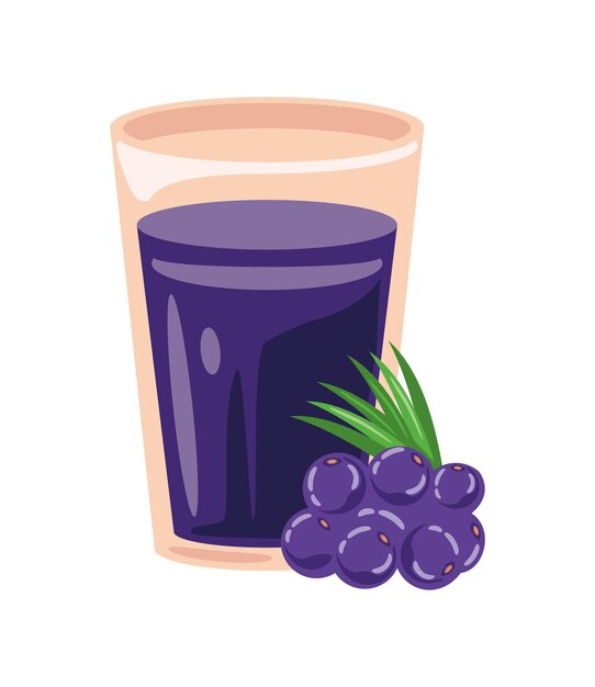 Fruta y jugo de acai