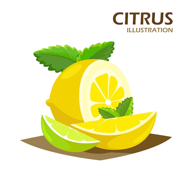 Vector gratuito frutas cítricas y cuartos cuñas realistas de icono.