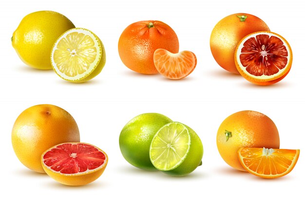 Frutas cítricas realistas con limón lima naranja pomelo mandarina aislado en blanco