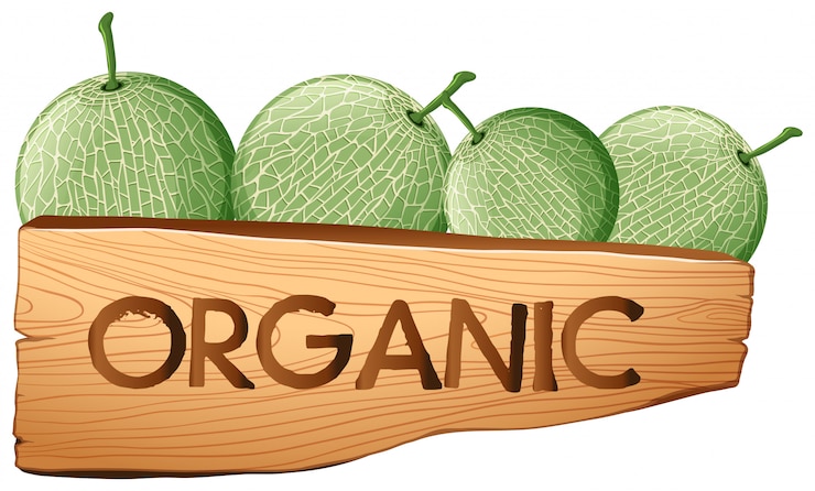 Vector gratuito frutas de melón y signo orgánico.