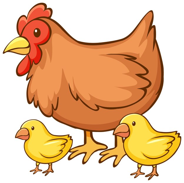 Gallina con dibujos animados de pollitos sobre fondo blanco