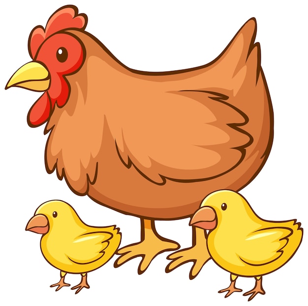 Gallina con dibujos animados de pollitos sobre fondo blanco
