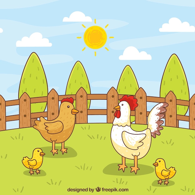 Gallinas dibujadas a mano 