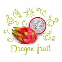 Vector gratuito garabatos alrededor de la fruta del dragón