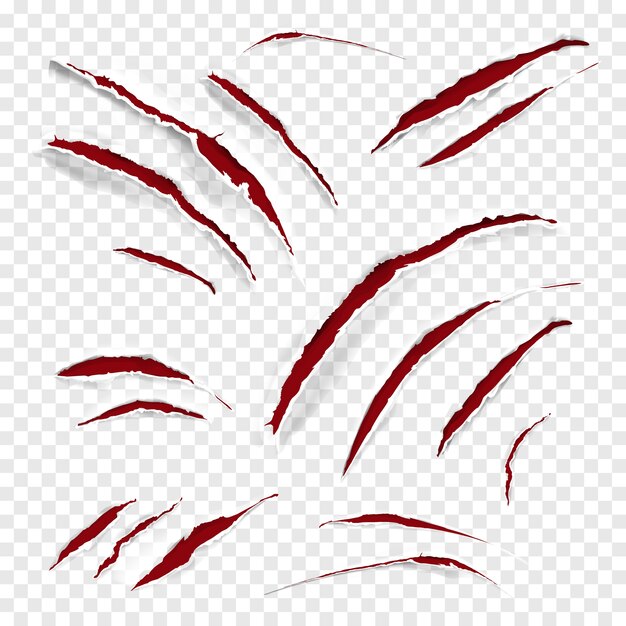 Garra rasguños ilustración de realista rojo animal salvaje rascarse con textura blanca rasgada