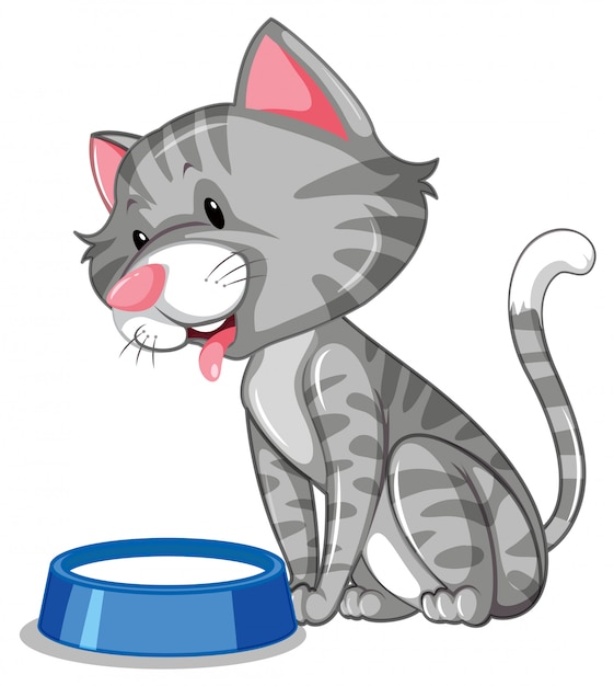 Un gato bebiendo leche