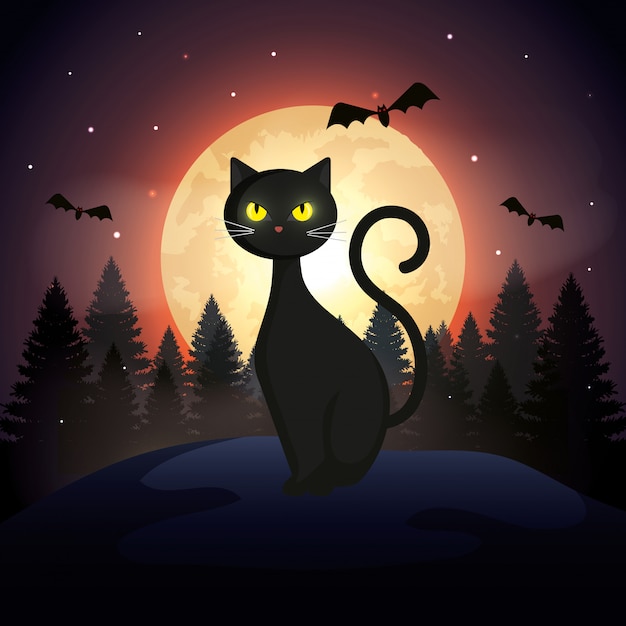 Gato de Halloween con murciélagos volando y luna en la noche oscura