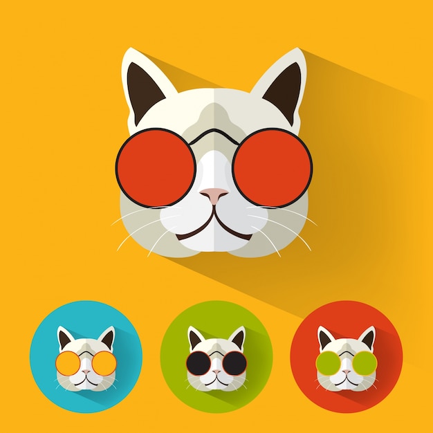 Gato hipster con sombra larga