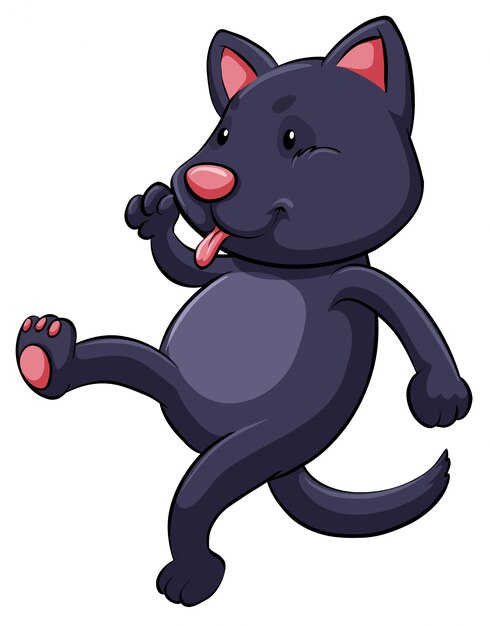 Un gato juguetón