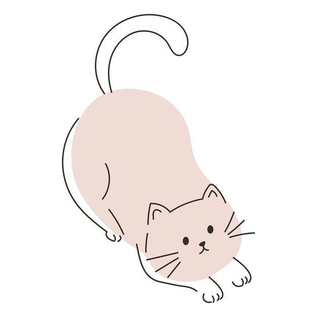 El gato mascota felino