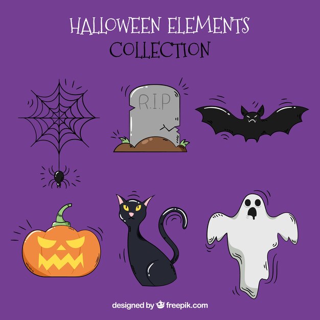 Gato negro con elementos de halloween dibujados a mano