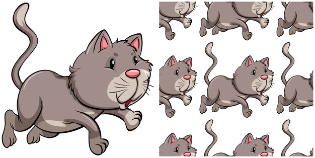gato de patrones sin fisuras aislado en blanco