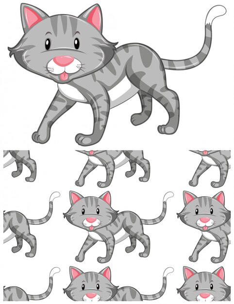gato de patrones sin fisuras aislado en blanco