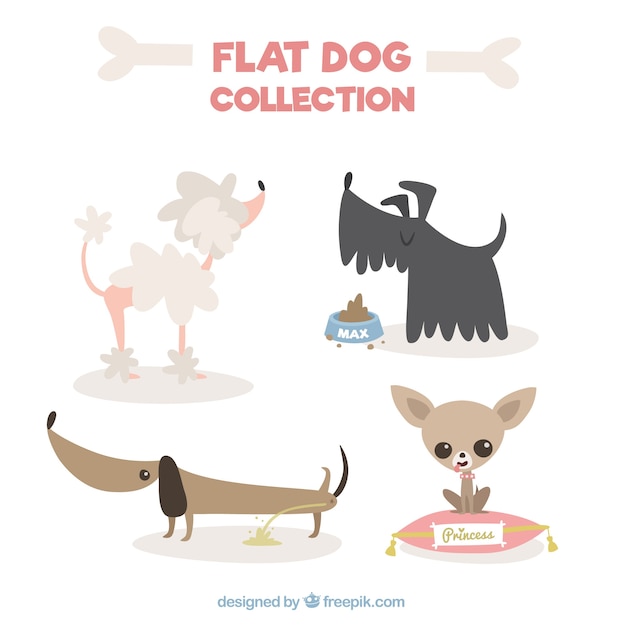 Genial colección de perros en diseño plano