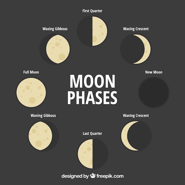 Vector gratuito geniales fases lunares en diseño plano