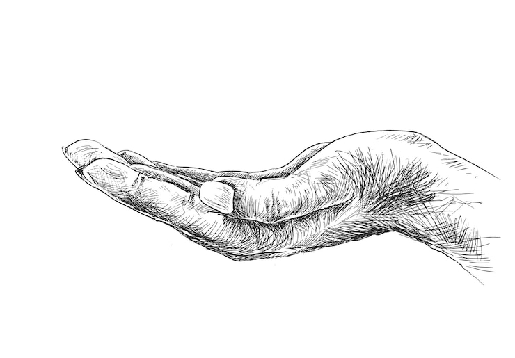 Vector gratuito gesto de mano abierta vacío aislado sobre fondo blanco fondo de vector de boceto dibujado a mano