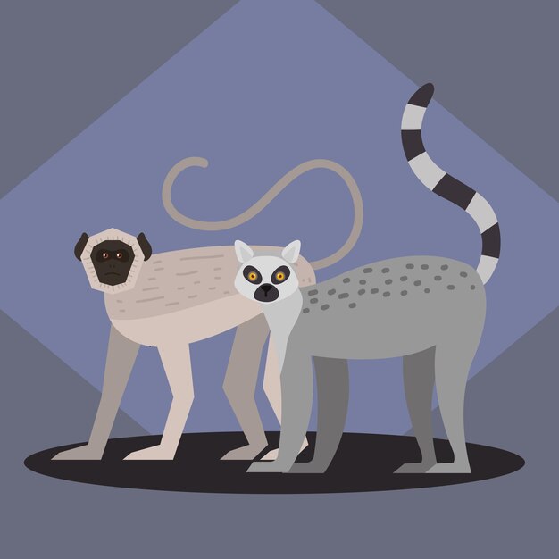 Gibones y monos araña