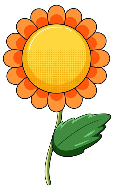girasol