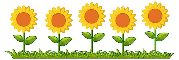 Vector gratuito los girasoles brillantes en una fila