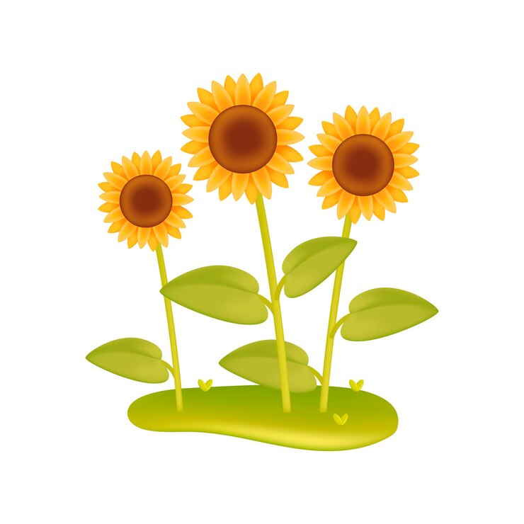 Vector gratuito girasoles en la ilustración de vector 3d de jardín. plantas de jardín al aire libre sobre hierba verde en estilo de dibujos animados aislado sobre fondo blanco. naturaleza, planta, concepto de jardinería.