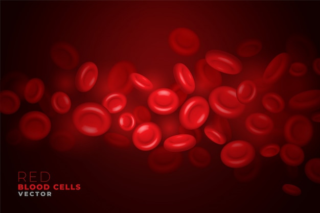 Glóbulos rojos realistas que fluyen a través del fondo de la arteria