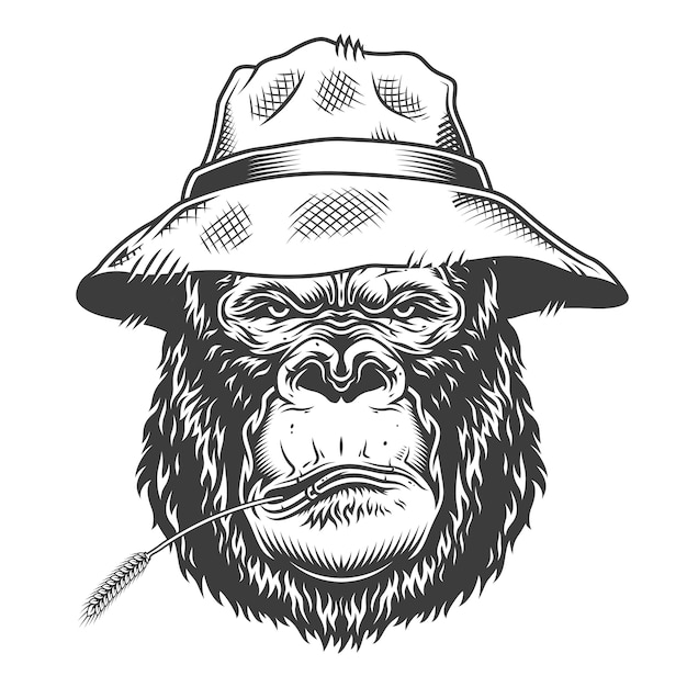 Gorila serio en estilo monocromo