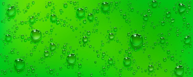 Vector gratuito gotas de agua de condensación en la lluvia de fondo verde