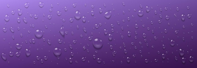 Gotas de agua de condensación sobre fondo púrpura