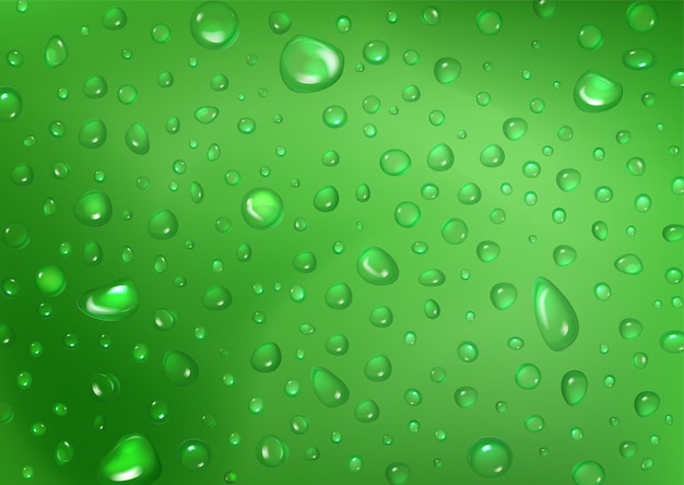 Gotas de agua dulce sobre fondo abstracto verde gota de textura húmeda o agua de condensación sobre el color de la hierba gotas de lluvia brillantes puras primer plano telón de fondo ilustración vectorial 3d realista