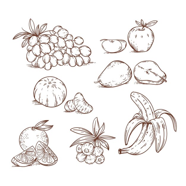 Grabado conjunto de frutas dibujadas a mano