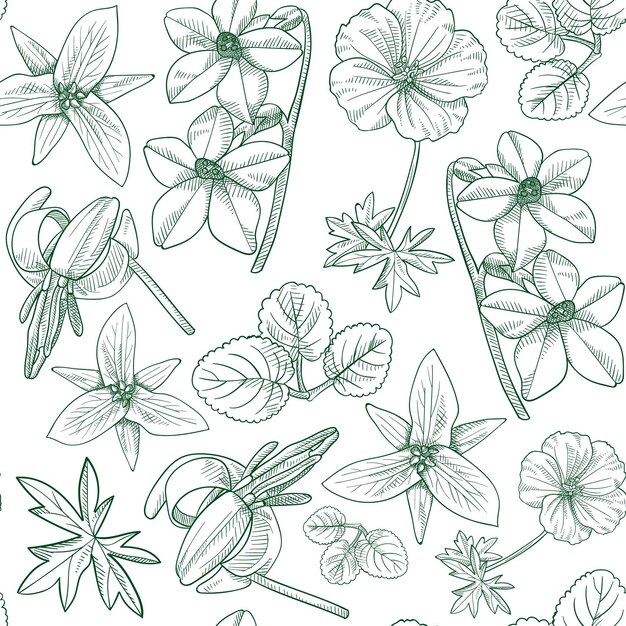 Vector gratuito grabado de patrones botánicos dibujados a mano