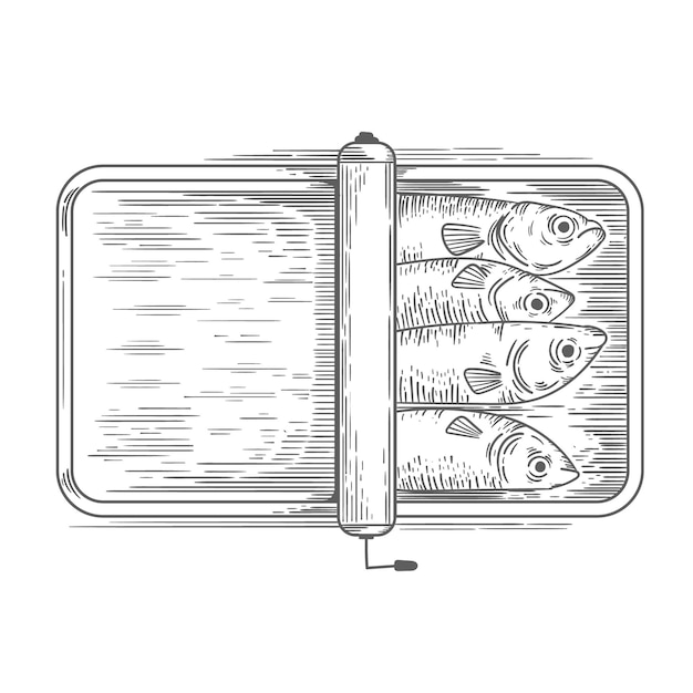 Grabado de sardina dibujada a mano