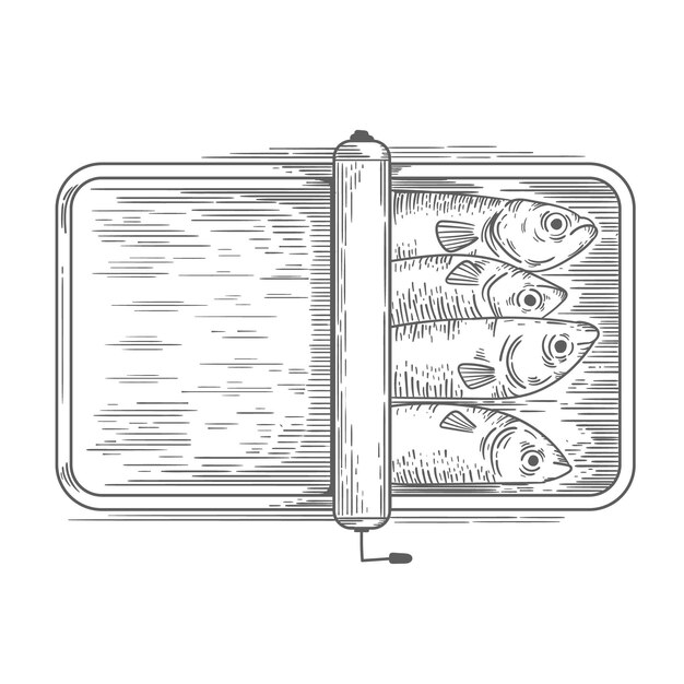 Grabado de sardina dibujada a mano
