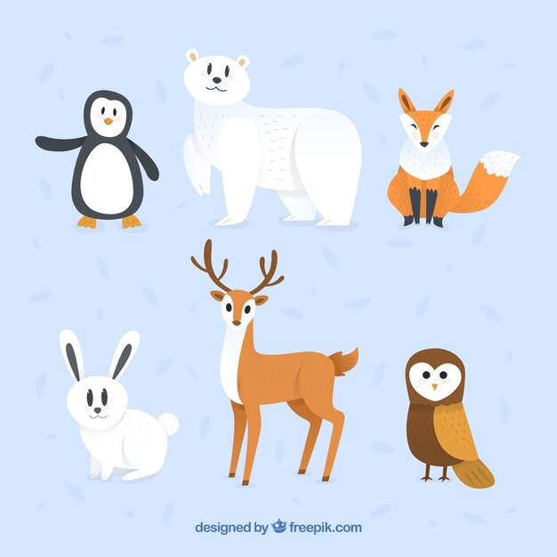 Graciosa colección de animales de bosque