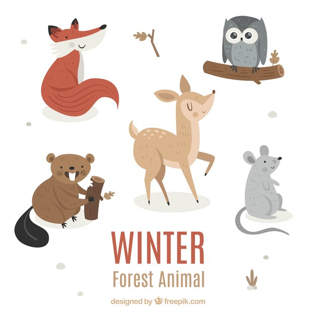 Graciosa colección de animales de invierno