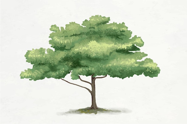 Vector gratuito gráfico de elemento de árbol de roble