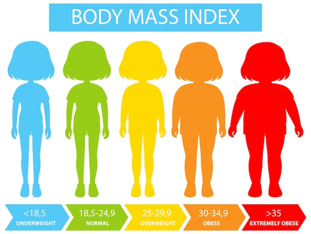 Vector gratuito gráfico del índice de masa corporal